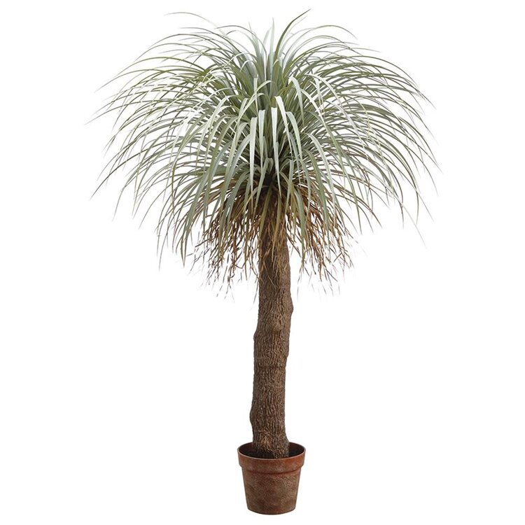 54" Desert Palm Tree