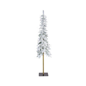 Jes & Gray Alpine Snowy Fir, Large