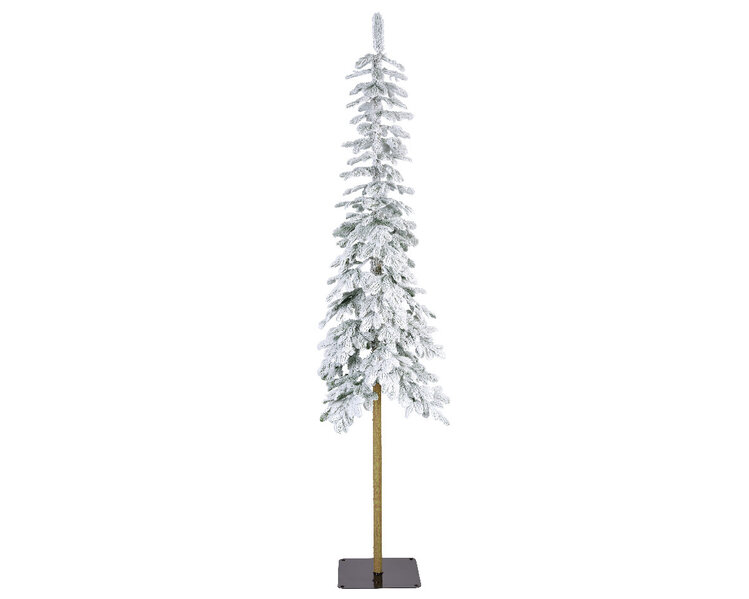 Jes & Gray Alpine Snowy Fir, Medium