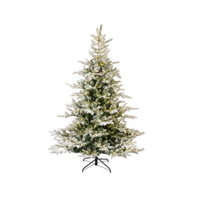 Jes & Gray Grandis Snowy Fir- Christmas Tree