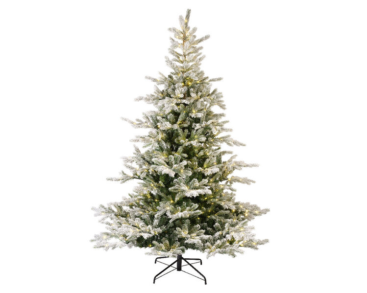 Jes & Gray Grandis Snowy Fir- Christmas Tree
