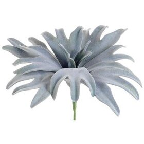 13" Staghorn Plant- Green