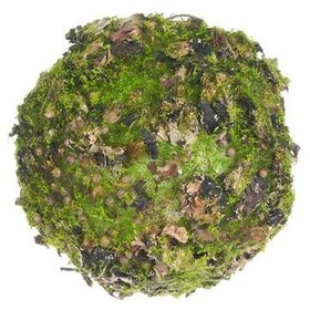 3'' Moss/Lichen Orb
