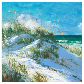 Rosemary Beach Dune 1