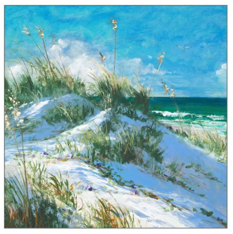 Rosemary Beach Dune 1