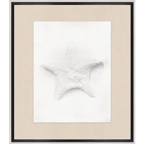Sea Star