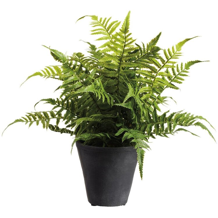 18" Soft PE Leather Fern Plant