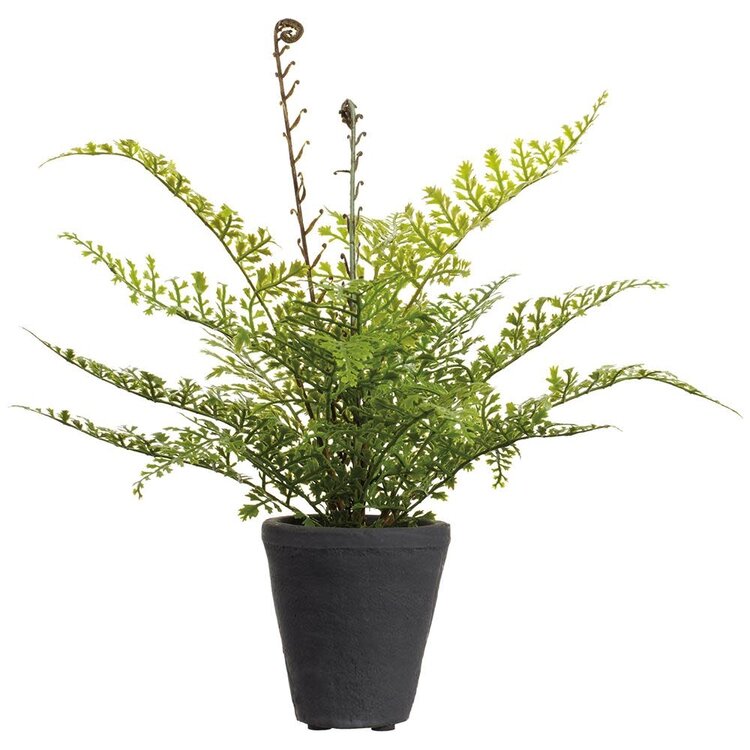 14" Soft PE lace Fern Plant