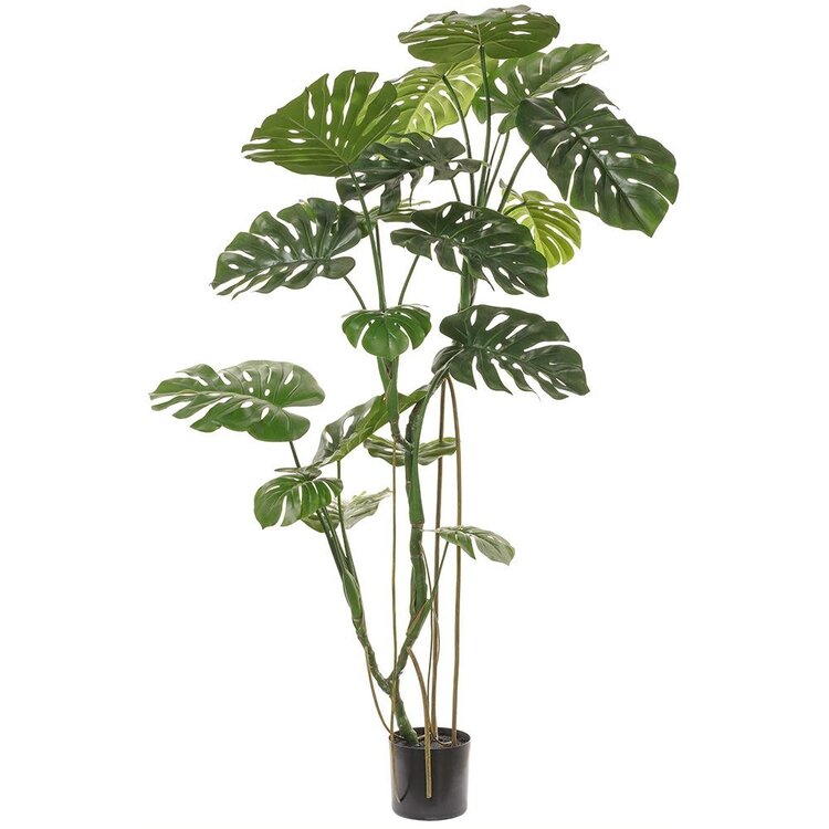 70" Monstera Tree