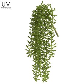 12" UV Protected Sting of Fishhooks Spray