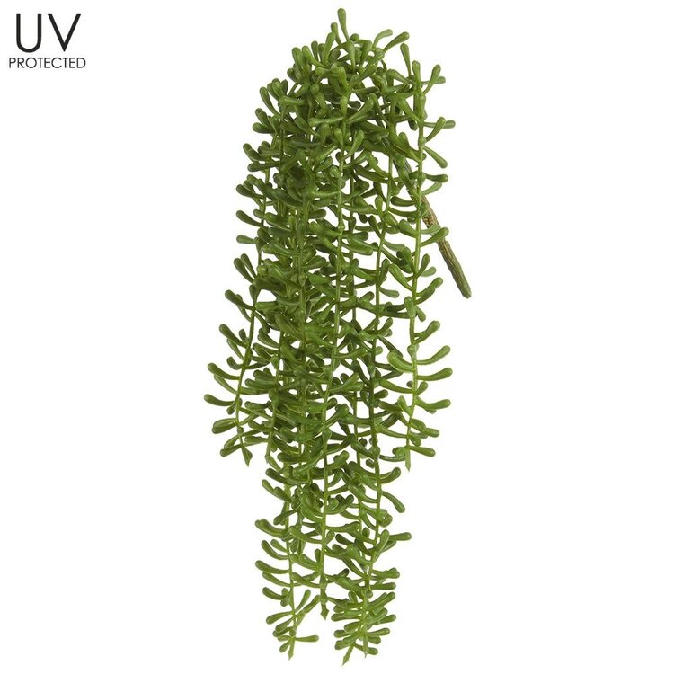 12" UV Protected Sting of Fishhooks Spray