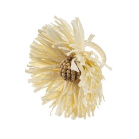 Raffia Ivory Napkin Ring