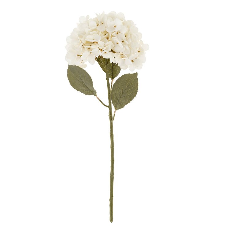 Hydrangea White Floral Stem
