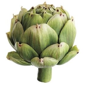 2.5" Artichoke