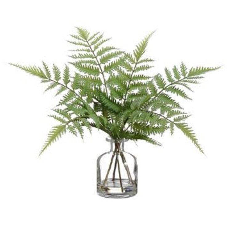 14" Forest Fern in Glass Vase