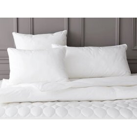 Mantra Down Alternative Bed Pillow Insert, Euro 26" x 26"