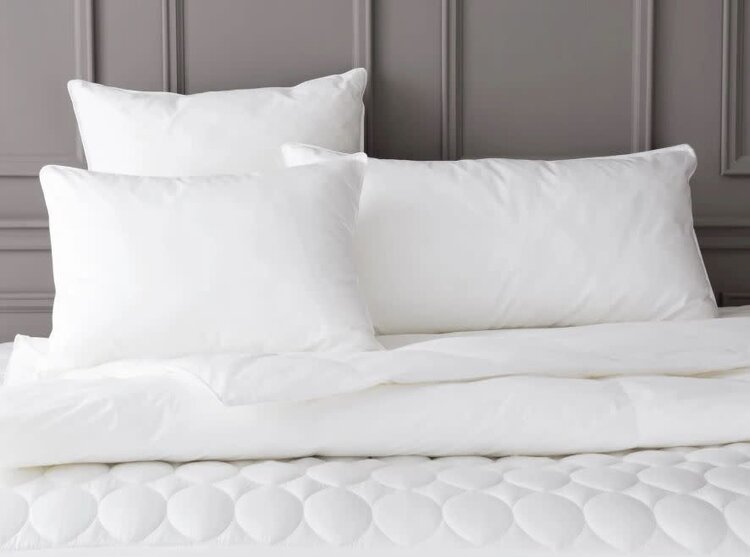 Mantra Down Alternative Bed Pillow Insert, Euro 26" x 26"