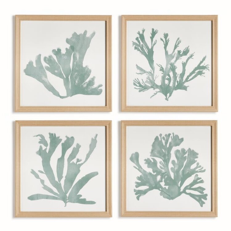 Coral Silhouettes in Soft Green Frame Art (sold individually)