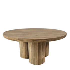 Padmas Organic Coffee Table