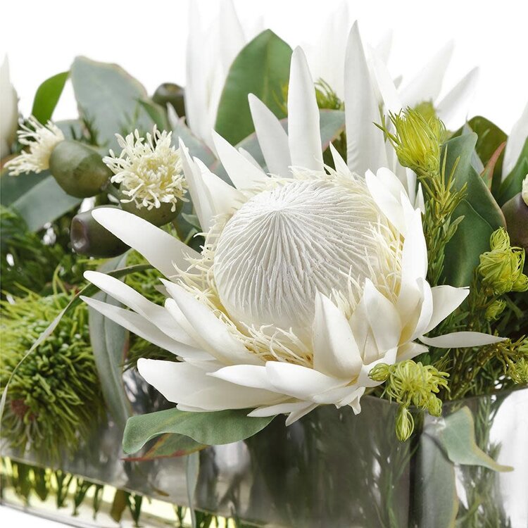 Protea/Eucalyptus/Wolly in Vase
