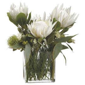 Protea/Rosemary/Wolly in Glass Vase