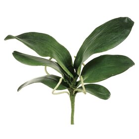 15" Large Phalaenopsis Orchid Leaf Spray
