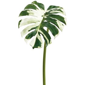 44" Monstera Leaf Spray