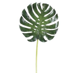 34" Large Monstera Leaf Spray