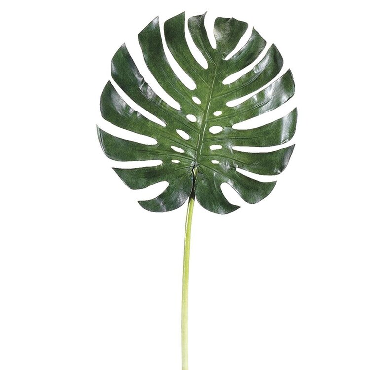 34" Large Monstera Leaf Spray