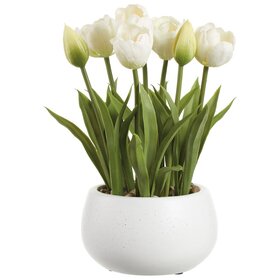 11" Tulip in Ceramic Vase