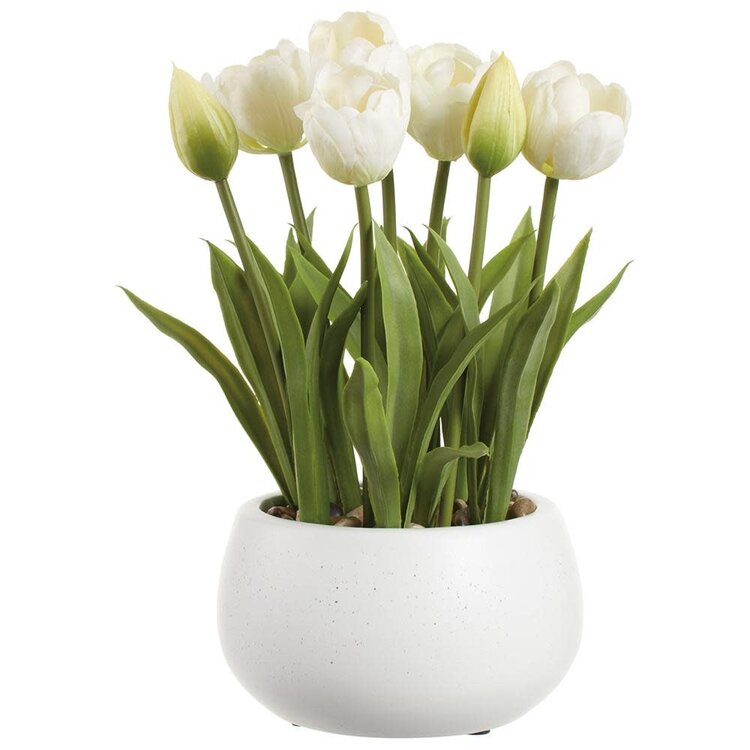 11" Tulip in Ceramic Vase
