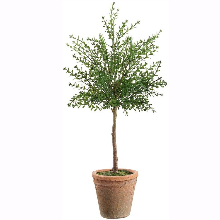 23" UV Protected Myrtle Topiary