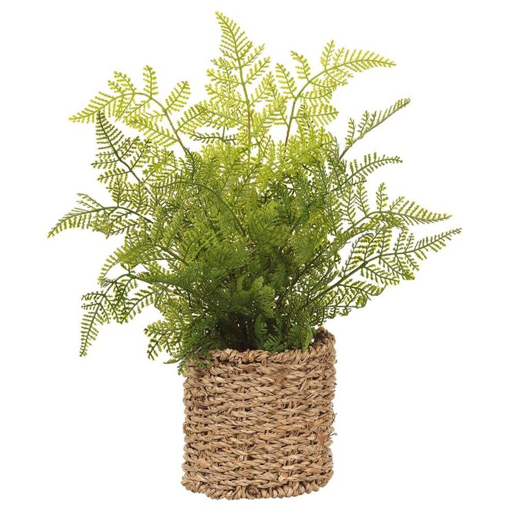 15" Leather Fern in Basket