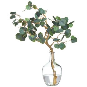 Cotinus Branch in Glass Bottle