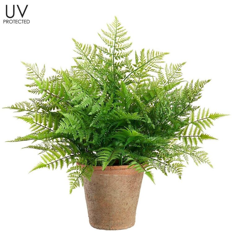 29" UV Protected Leather Fern in Aged Clay Pot