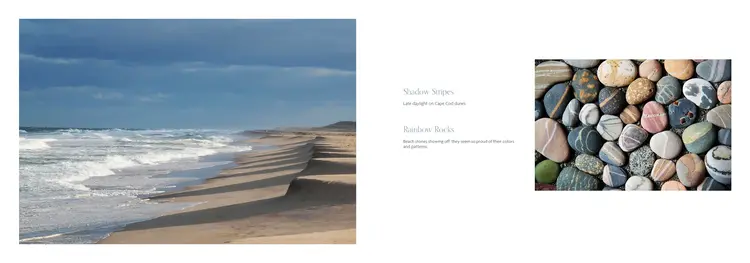 Schiffer Publishing Beaches: Celebrating Stones, Sand, and Surf