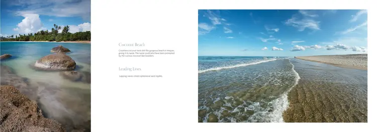 Schiffer Publishing Beaches: Celebrating Stones, Sand, and Surf
