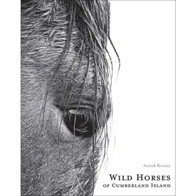 Wild Horses of Cumberland Island By Anouk Masson Krantz