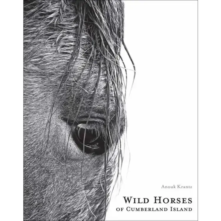 Wild Horses of Cumberland Island By Anouk Masson Krantz