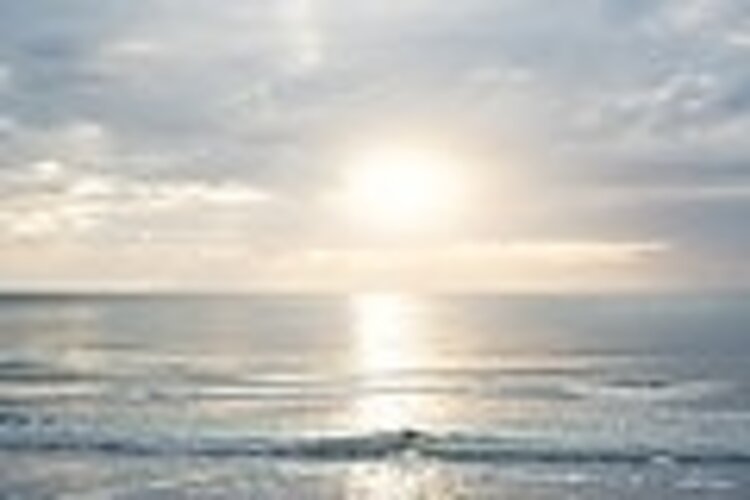 Remote w/ Natural Oak Float Haven Frame