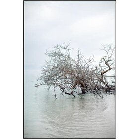 Floating Vibes w/ Poly Silver Float Frame