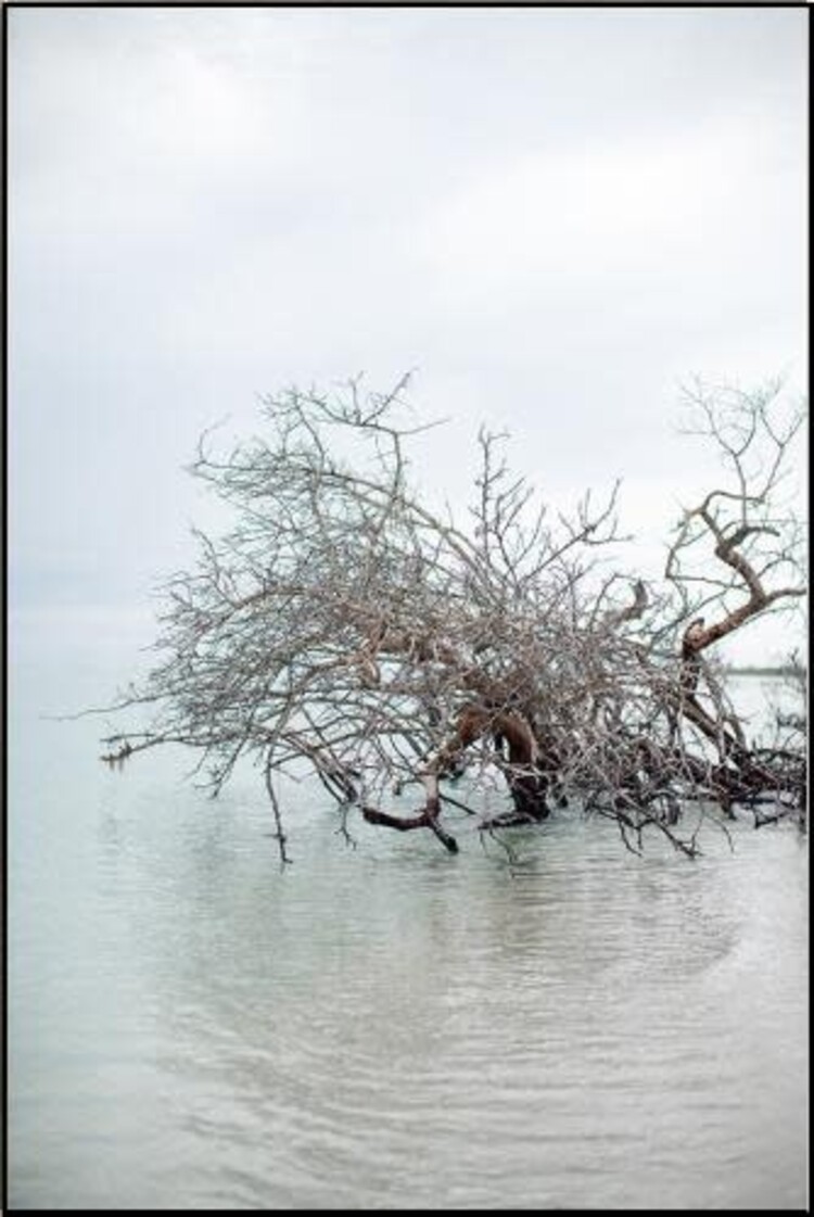 Floating Vibes w/ Poly Silver Float Frame