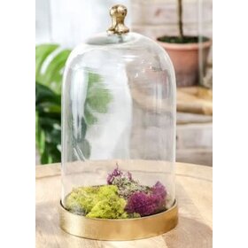 12" Glass Cloche w/ Gold Base