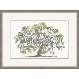 Graceful Moss Veils 1