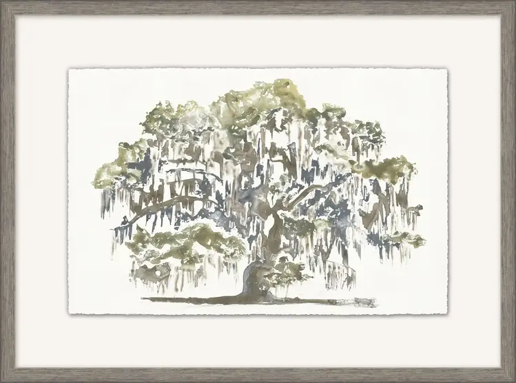 Graceful Moss Veils 1