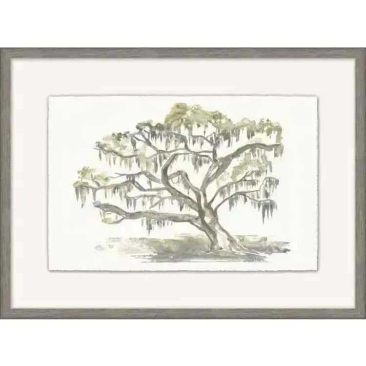 Graceful Moss Veils 4