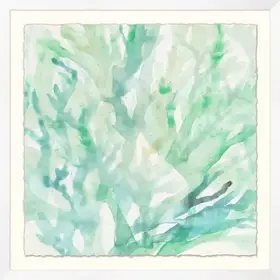 Translucent Ocean Life 1