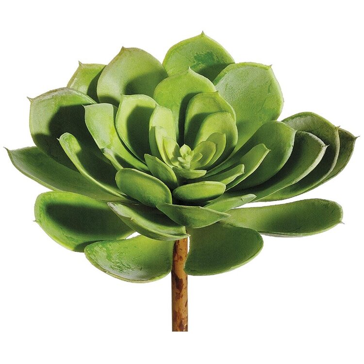 6" Real Touch Echeveria Pick- Green