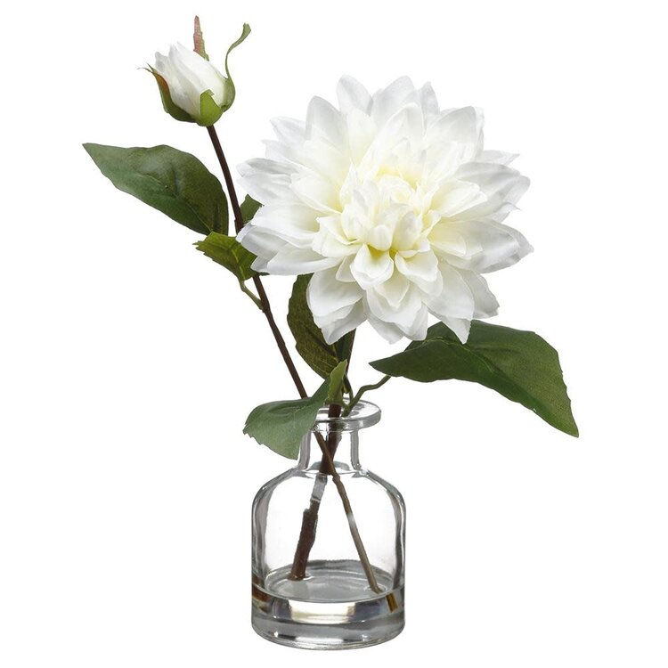10.5" Dahlia in Glass Vase