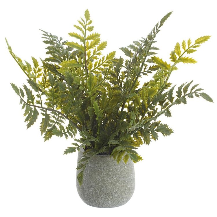 11" Soft PE Fern in Plastic Pot